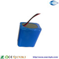 LiFePO4 Battery Pack 60V 40ah for E-Motor/ Scooter